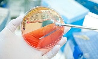 Colistin-Resistant MCR-1 Genes Found in Bacteria on Hospital Surfaces
