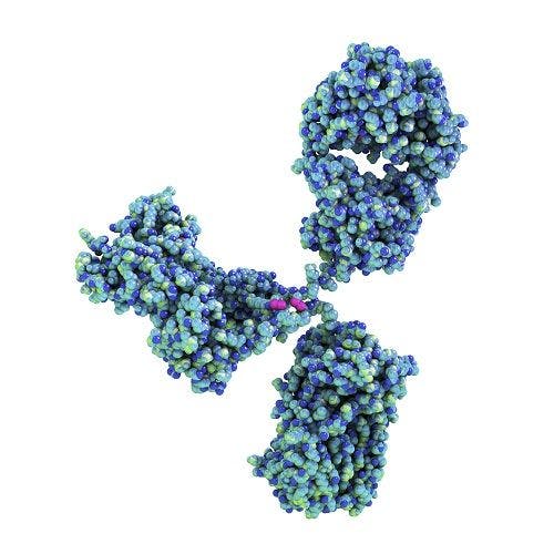 AstraZeneca Begins Phase 1 Trial for Monoclonal Antibody Combination for COVID-19