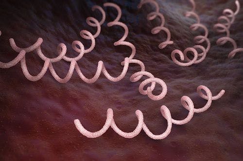 CDC Releases State-Specific Rates of Primary & Secondary Syphilis Among MSM