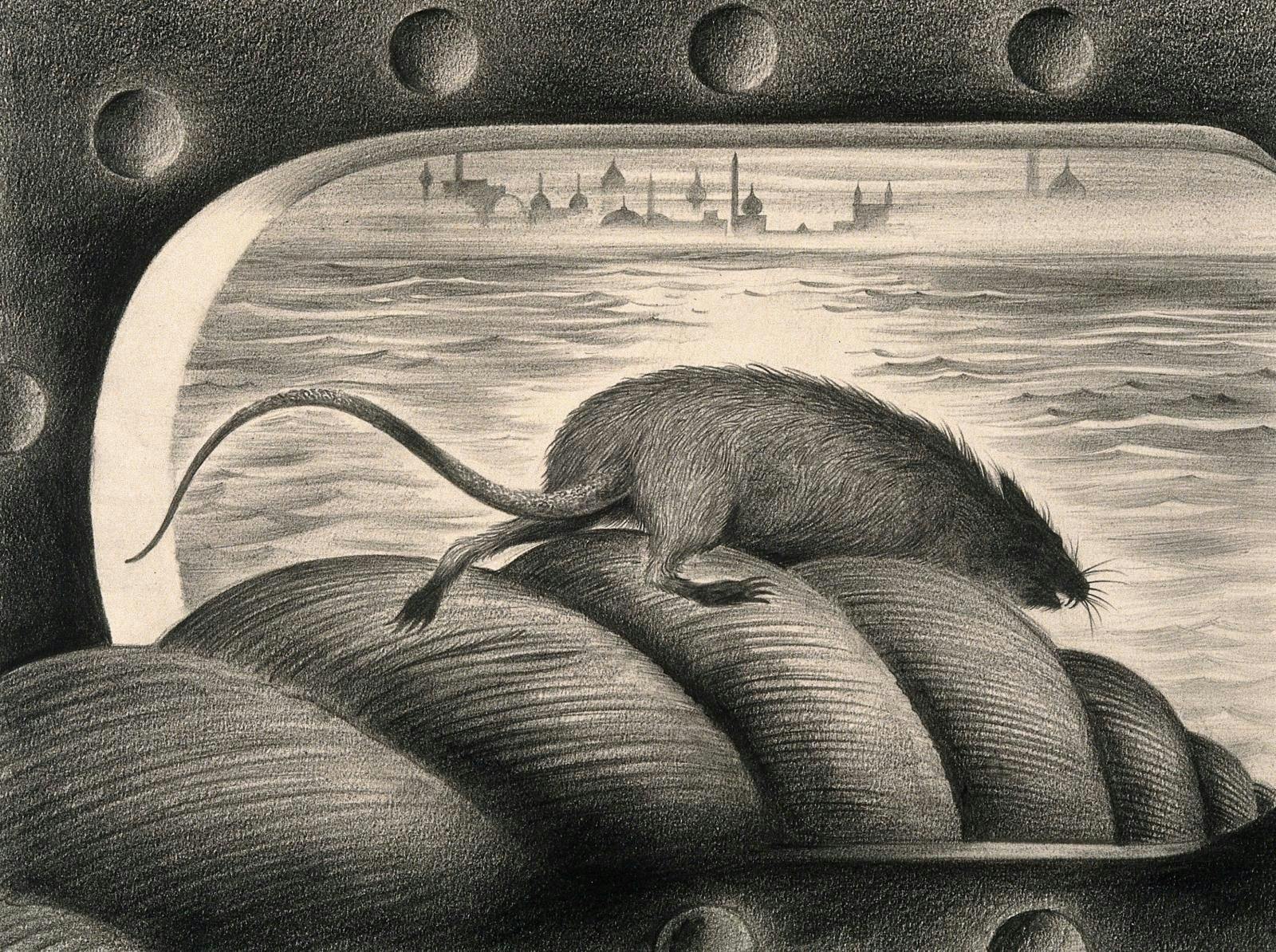 Dis-Ease still: Rat leaving the mooring rope of a ship (Albert Lloyd Tarter illustration, produced for an unfinished Hollywood educational film in the 1940s, Wellcome Collection).