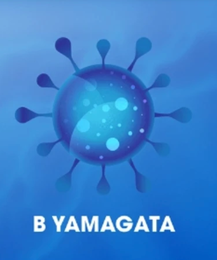 Is the Influenza B/Yamagata Virus Now Extinct?