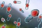 FDA Grants QIDP Designation to MGB-BP-3 to Treat Clostridium difficile-associated Diarrhea
