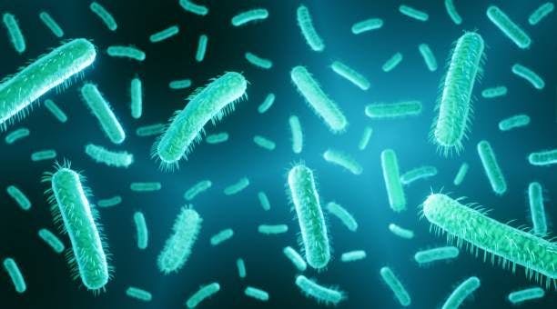 Investigating the E coli Outbreak in City A, Utah