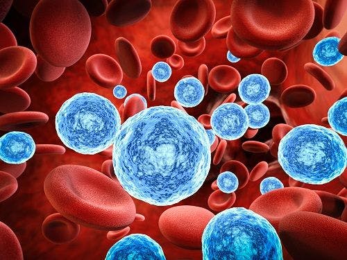 Rapid Test for Antibiotic Sensitivity in Blood Infections Approved by FDA