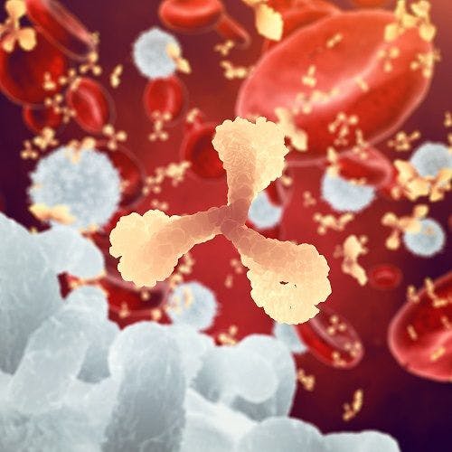 NIH Provides Clues on How Antibody Treatment Led to Sustained Remission of HIV-Like Virus