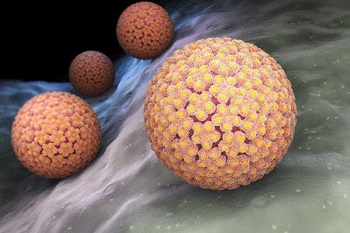Nearly One-quarter of US Adults Have High-risk HPV