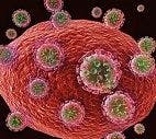 Discovery of HIV Feature Provides New Drug Target 