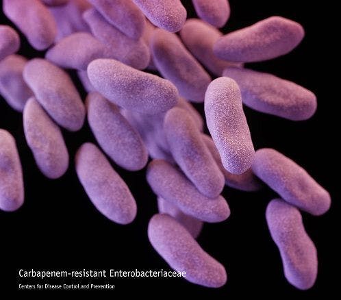 Plasmids Found to Confer Antibiotic Resistance Among Unrelated Bacteria at US Hospital