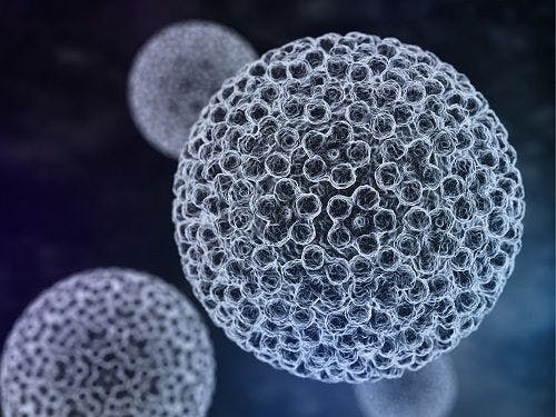 Men Infected with This HPV Type Are 20 Times More Likely to Be Reinfected After 1 Year