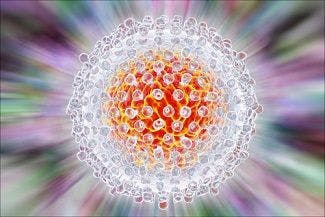 Risk for Hepatitis C Virus High Among PWID and Share Needles