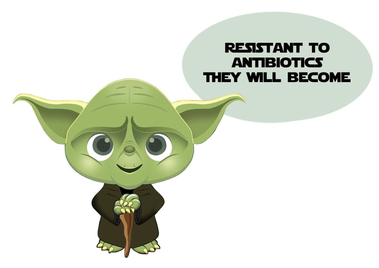 Yoda Antibiotic Resistance