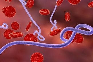 Ebola Survivors Still Producing Antibodies 40 Years After First Outbreak