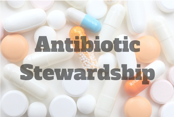 Children's Hospital Benefits from Antibiotic Stewardship Program Limiting Carbapenem Use