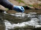 Researchers Awarded for Work on New Tool to Predict Cholera Outbreaks