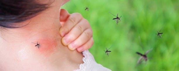 Mosquitos attacking children's neck | Image credits: Unsplash