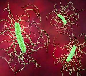 Stem Cell Patients with C Difficile Benefit from Vancomycin, Fidaxomicin
