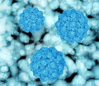 Researchers Discover How Norovirus Infections Begin