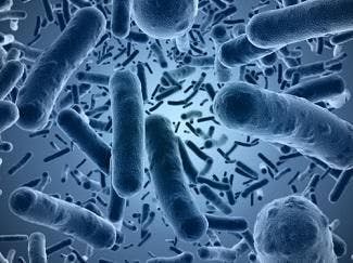 UK Health Officials Aim to Stop the Emerging Superbug Mycoplasma Genitalium