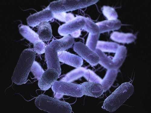 Oral Candidate Against ESBL-Producing Enterobacteriaceae Proves Promising in Phase 1 Trial