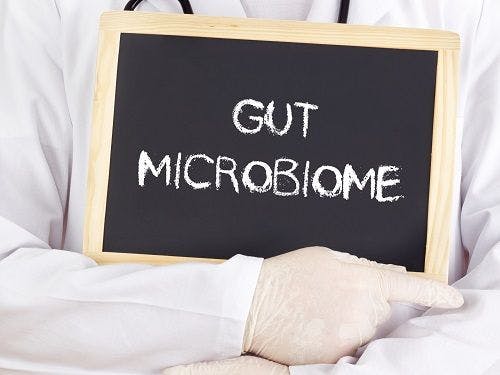 Aging and HIV Infection Linked With Changes in Gut Microbiome