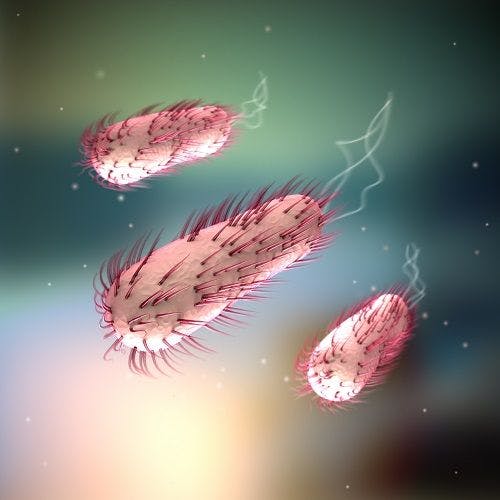 NIST's Sensor Technique Provides Faster Testing for Antibiotic Susceptibility