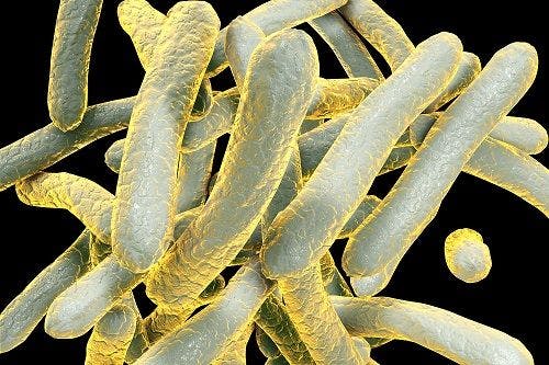 C-Reactive Protein an Accurate Alternative to Symptom-Based TB Screen