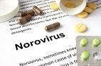 Source of Norovirus Outbreak in Florida School Still Unknown