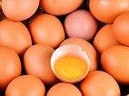 Australian Breakfast Buffet Links Salmonella Outbreak to Eggs