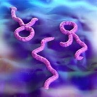 Ebola Outbreak Reportedly Contained Following Implementation of Vaccine