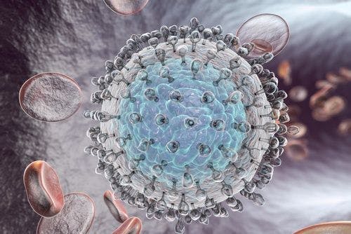 High Treatment Uptake is Possible for HCV Patients Coinfected with HIV