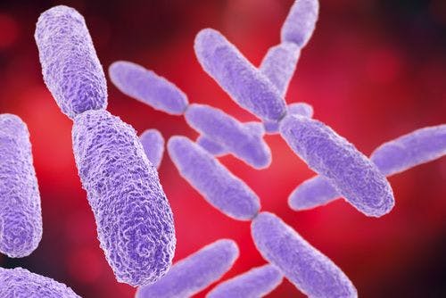 So far, the Virginia Mason Medical Center in Seattle has confirmed 33 patients have been infected with Klebsiella pneumoniae bacteria, 9 of whom have died.