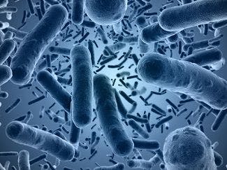 New Approach to Tackling Multidrug-Resistant Bacteria