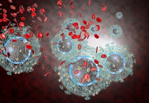 Cancer-Fighting Virus May Also Be Able to Destroy Latent HIV-Infected Cells