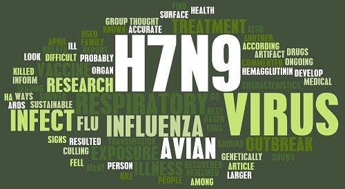 China Reports Six Human Cases of H7N9 Avian Influenza