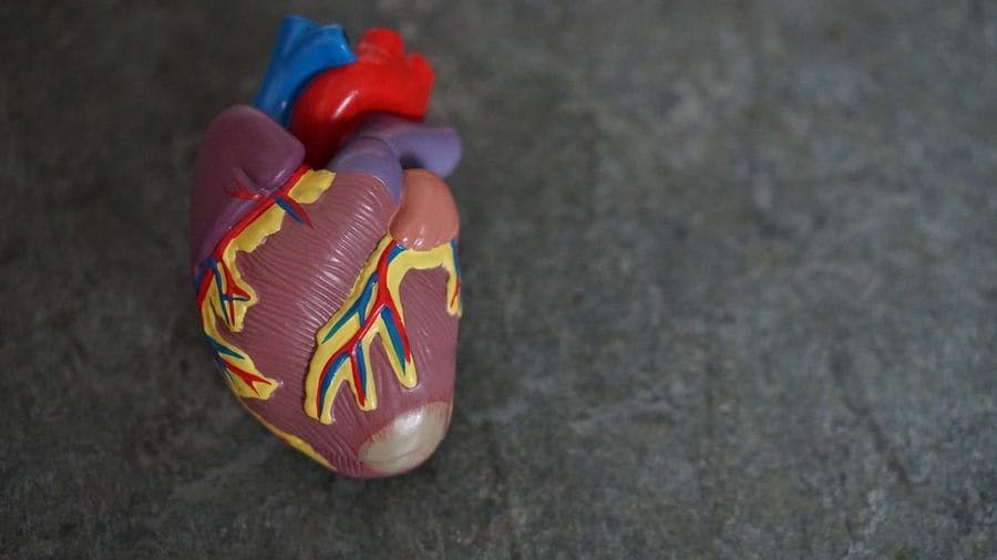 How COVID-19 Impacts the Heart