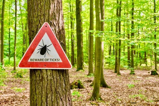 Tick, Tick: Spring Signals the Spread of Lyme Disease in the US