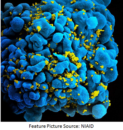 NIH Study Suggests New Mechanism for HIV Spread