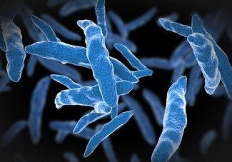 New Tool May Enable Real-Time Surveillance of Drug-Resistant Tuberculosis