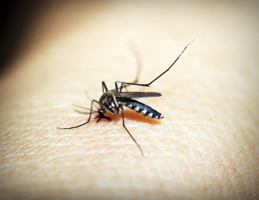 Seasonal Malaria Therapy Prevents Death in Children