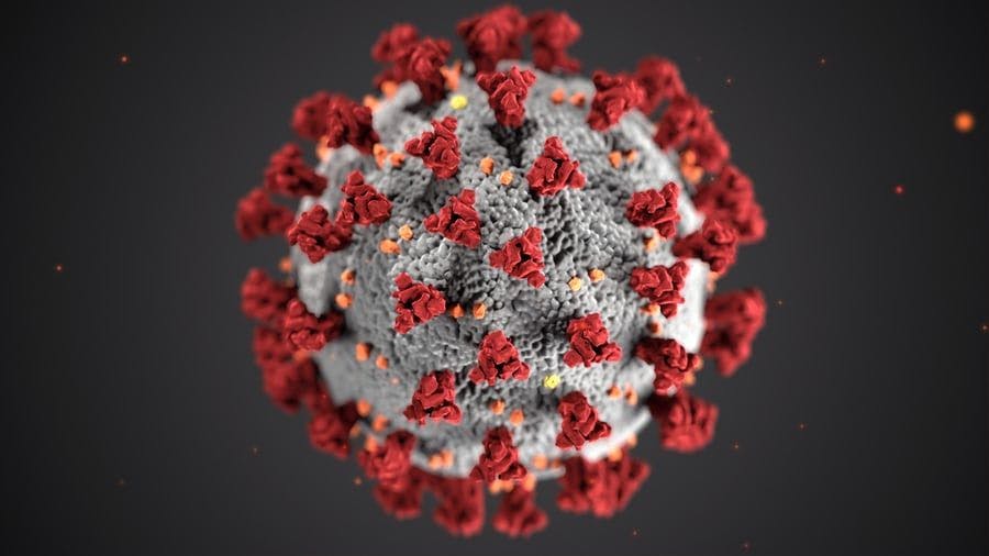 SARS-CoV-2 Mutations Allow Virus to Escape Immune Defenses