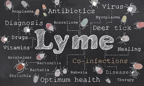 Is the Medical Community Behind the Times When It Comes to Treating Lyme?
