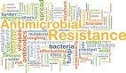World Leaders Tackle Antimicrobial Resistance at UN General Assembly Meeting