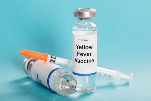 Update on Investigational Yellow Fever Vaccine for Travelers