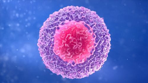 Immediate HIV Treatment May Promote Robust CD4 Cell Response