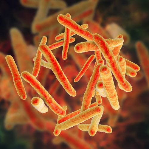 Tuberculosis Susceptibility Has Genetic Basis