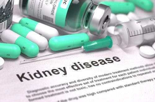 New Study Deepens Understanding of HIV–Kidney Disease Link