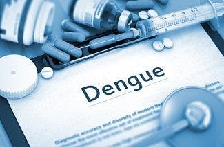Local Transmission of Dengue Confirmed in Florida