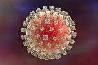 Cases of New Swine Flu Virus Found in Ohio and Michigan