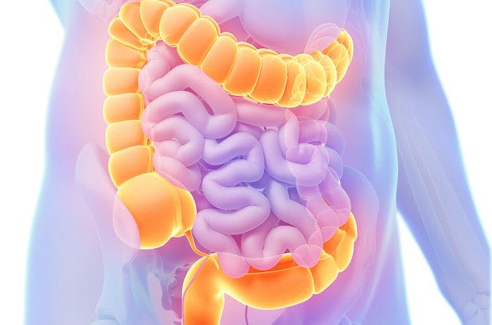 Study Supports Antibiotic-Only Approach to Treating Uncomplicated Acute Appendicitis