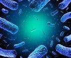 UK Publishes Guide for Health Care Professionals on Reducing the Risk of Listeriosis 